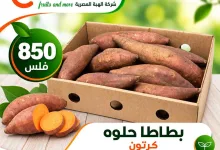 عروض شركة الهبة المصرية الكويت|20-9-2026 el3rod.com00012