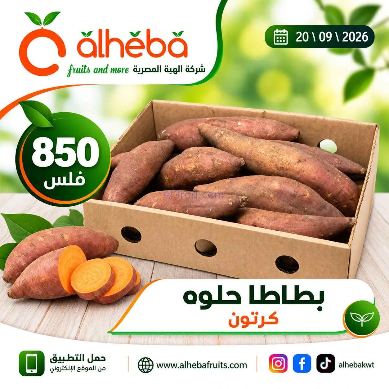عروض شركة الهبة المصرية الكويت|20-9-2026