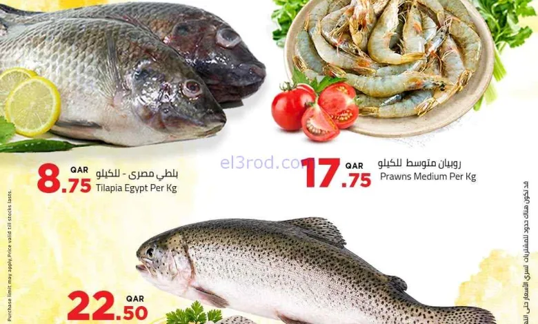 el3rod.com00014