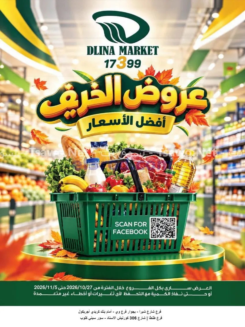 عروض دلينا ماركت مصر|27-10 حتى 5-11-2026
