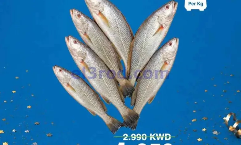 el3rod.com00001