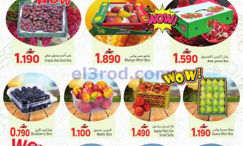 el3rod.com00001