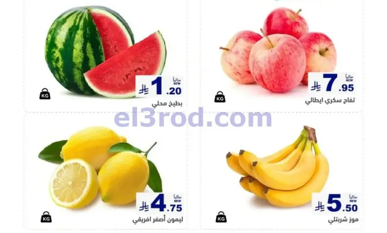 el3rod.com00001
