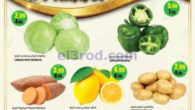 el3rod.com00002