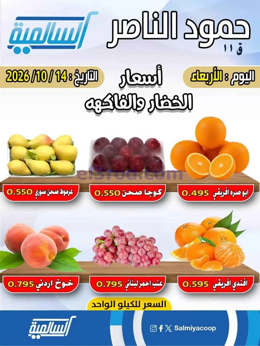 عروض جمعية السالمية فرع حمود الناصر|14-10-2026