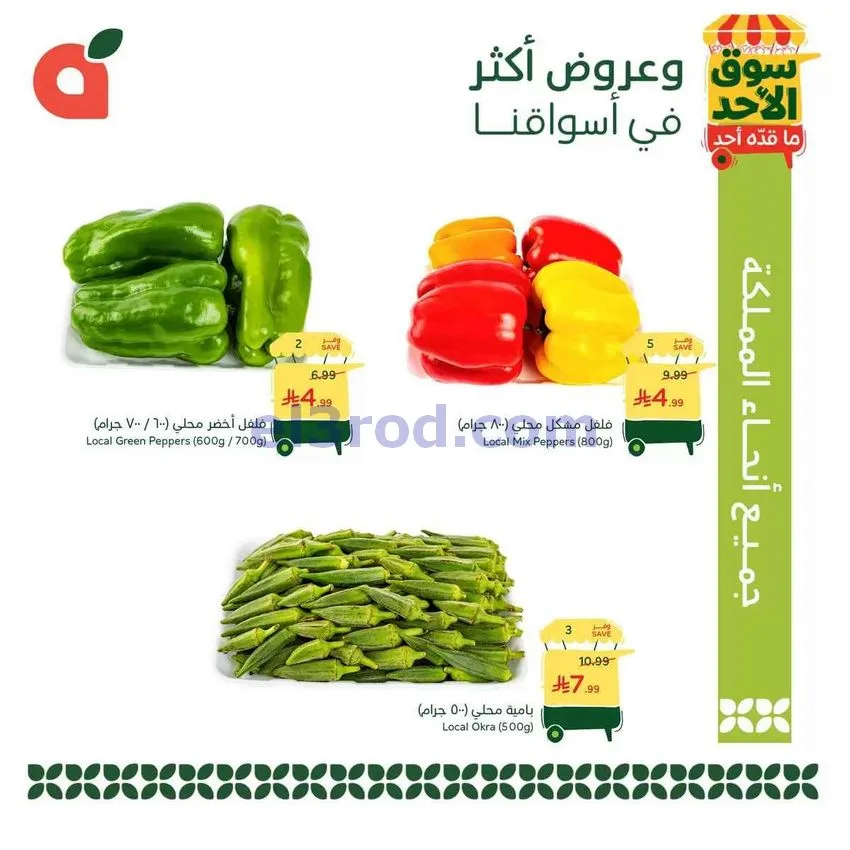 عروض بنده وهايبر بنده السعودية|18-10-2026