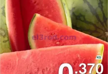 el3rod.com00003