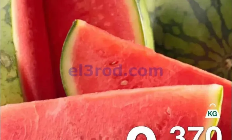 el3rod.com00003