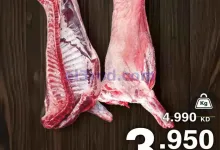 el3rod.com00003