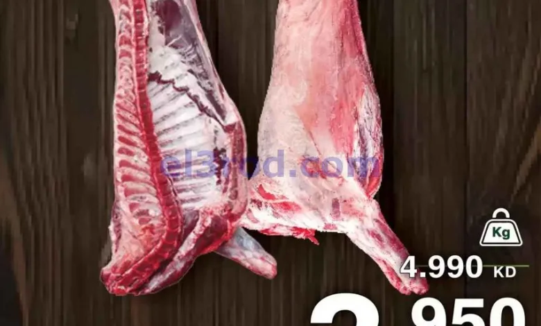 el3rod.com00003