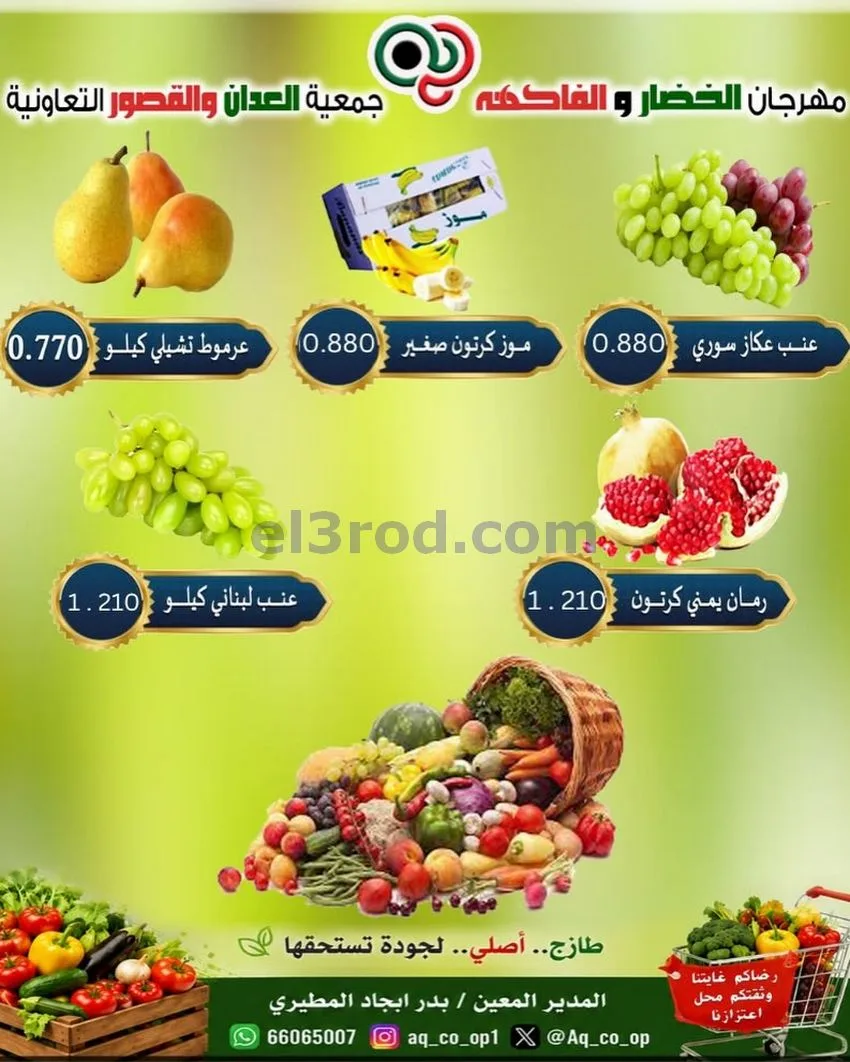عروض جمعية العدان والقصور التعاونية|11-10-2026