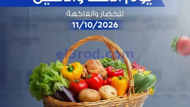 el3rod.com00003