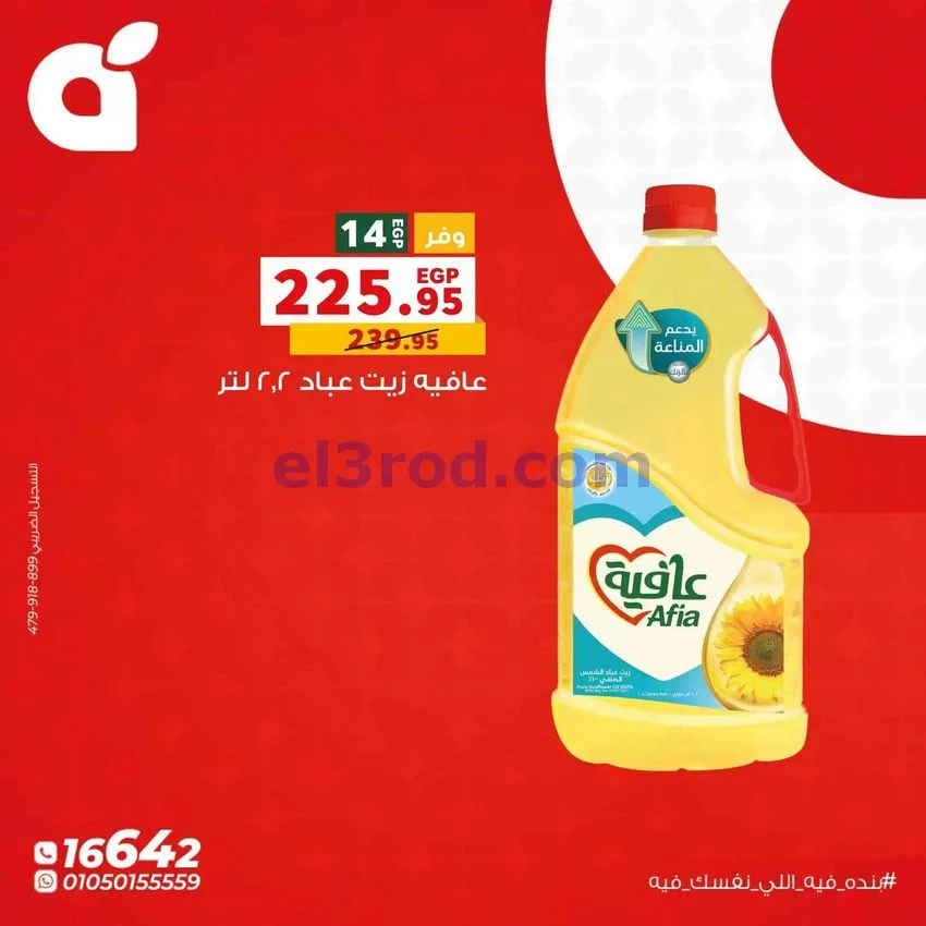 عروض بنده مصر|الاثنين|19-10-2026