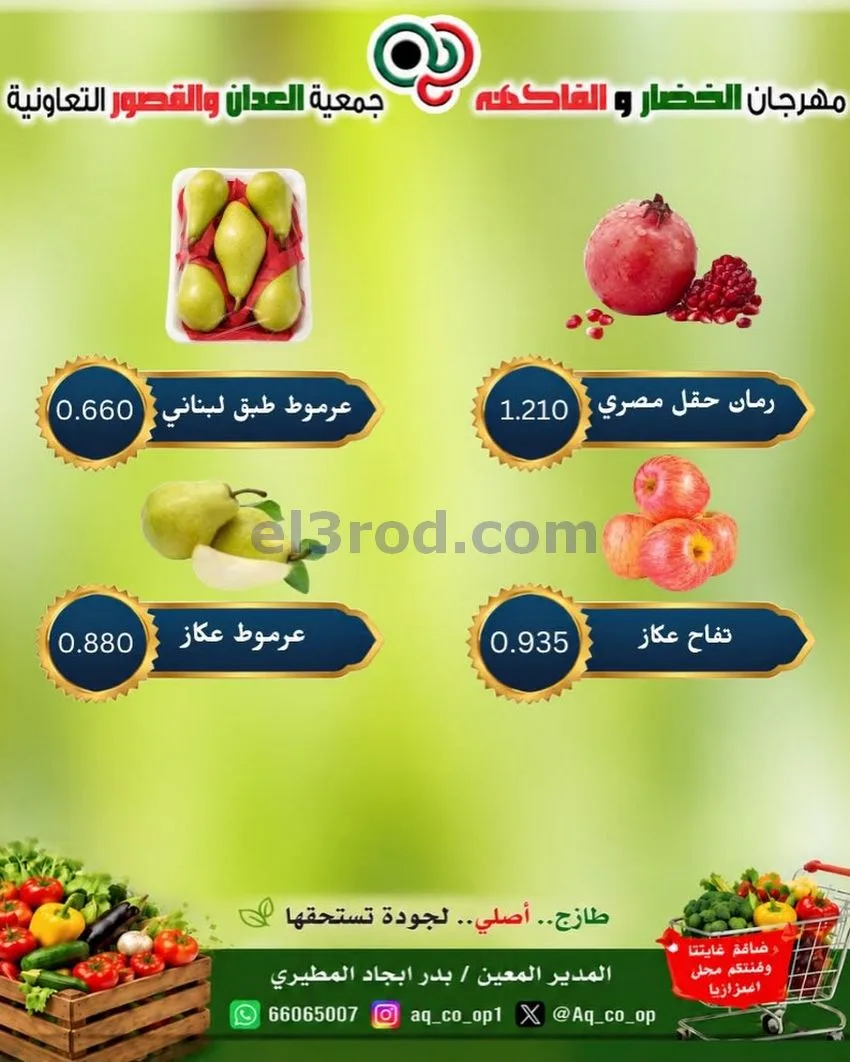 عروض جمعية العدان والقصور التعاونية|11-10-2026
