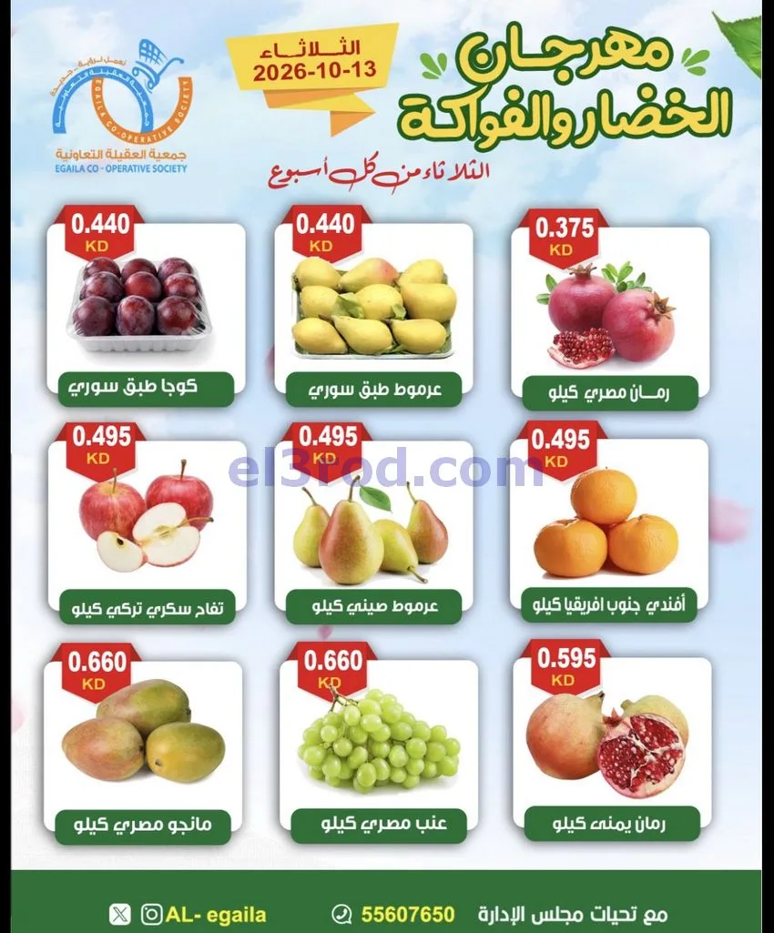 عروض جمعية العقيلة التعاونية|13-10-2026