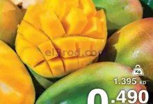 el3rod.com00004