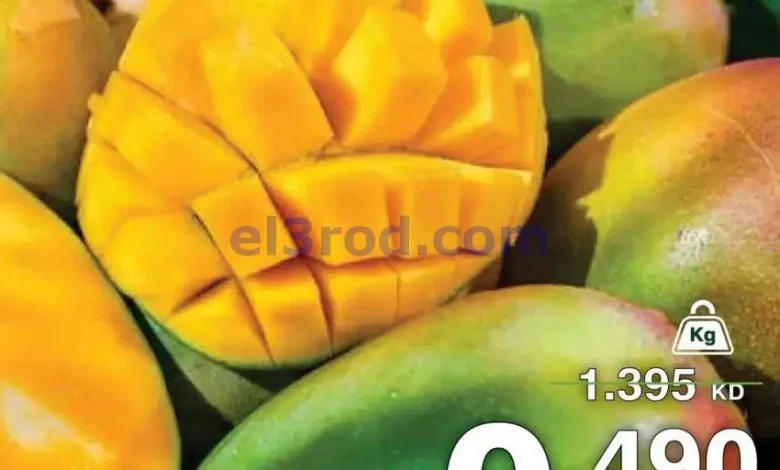 el3rod.com00004
