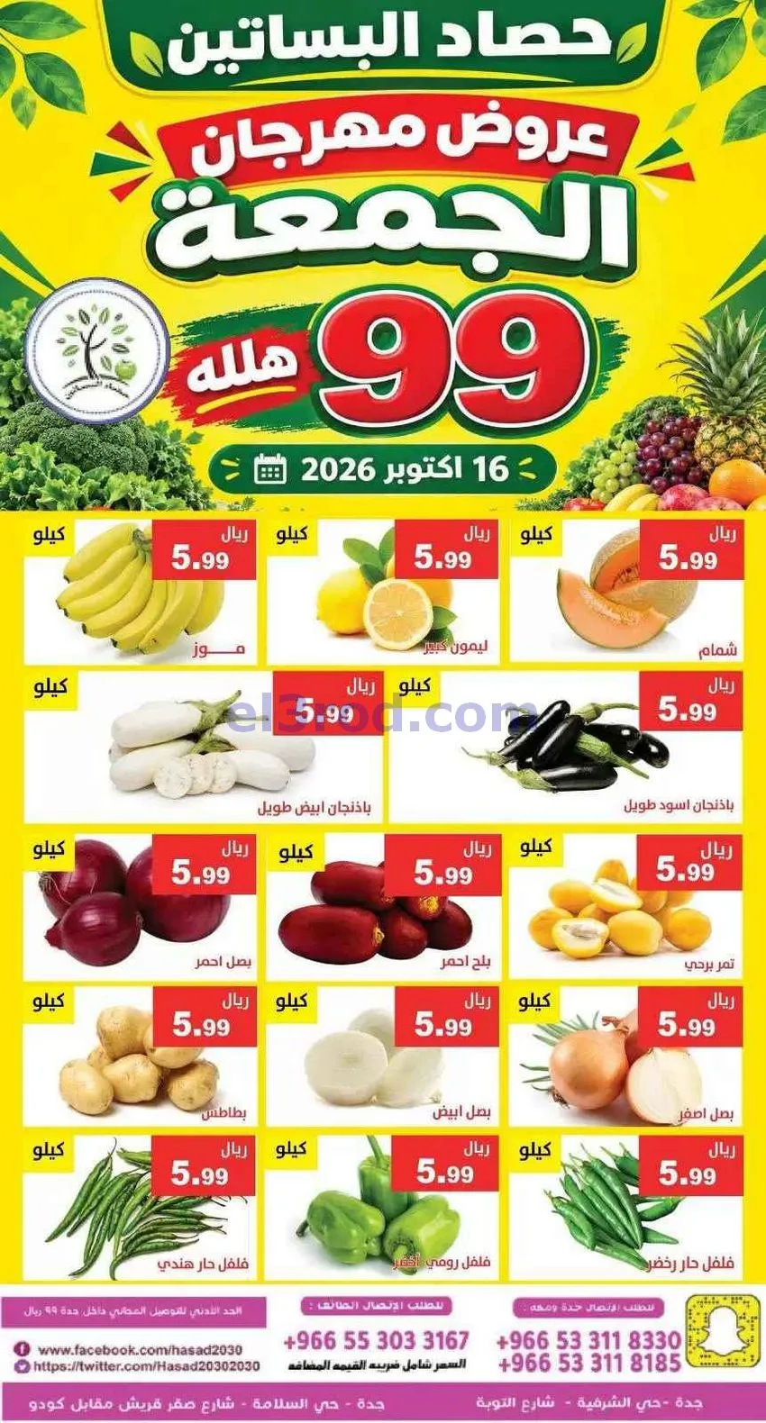 عروض مؤسسة حصاد البساتين|16-10-2026