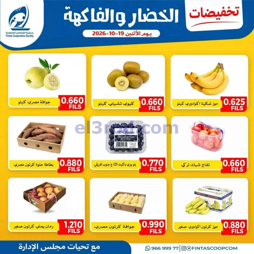عروض جمعية الفنطاس التعاونية|19-10-2026