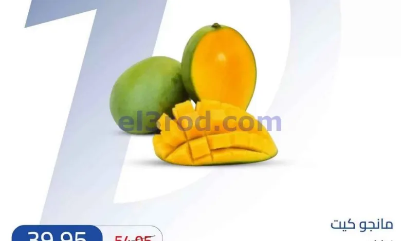 el3rod.com00005