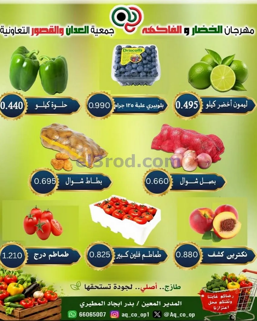 عروض جمعية العدان والقصور التعاونية|11-10-2026