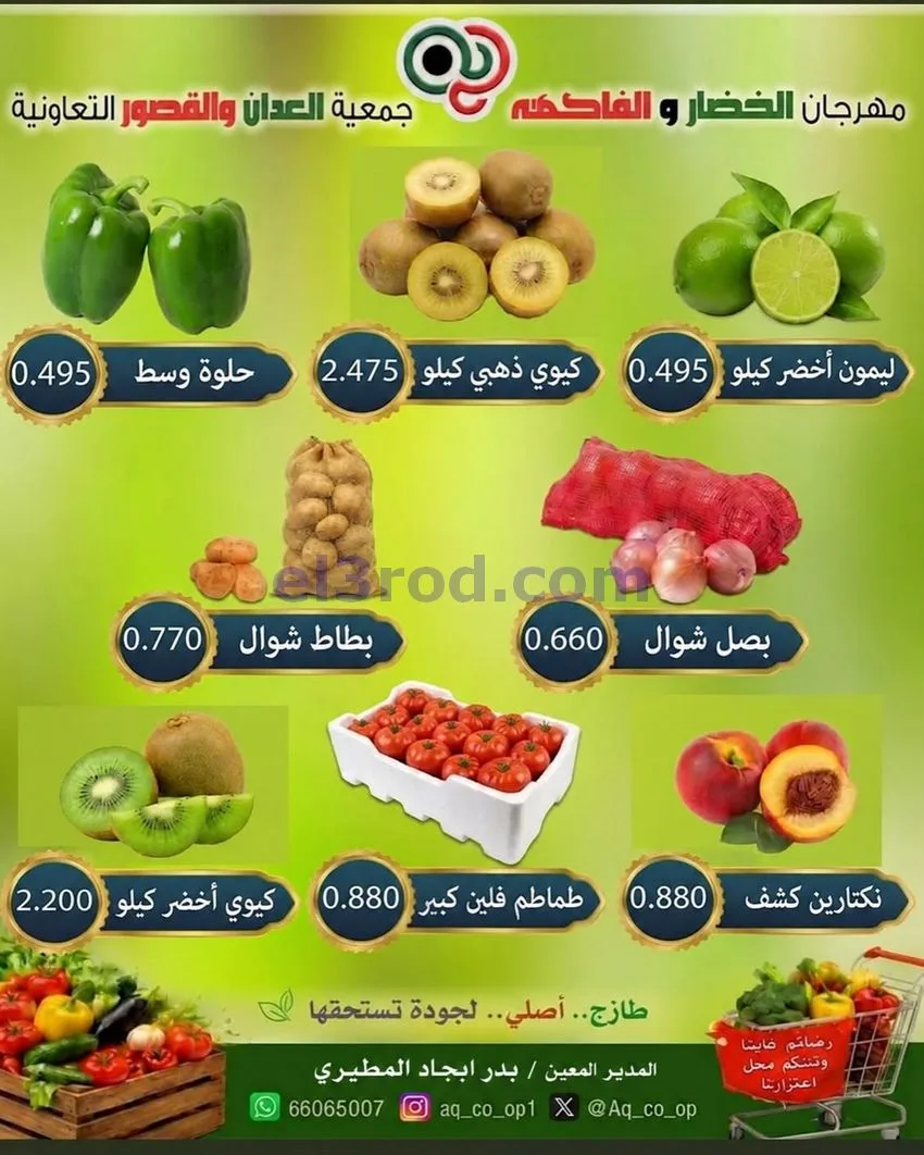 عروض جمعية العدان والقصور التعاونية|18-10-2026
